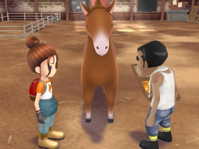 How To Get A Horse In Story Of Seasons A Wonderful Life