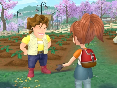 How To Make Money Fast In Story Of Seasons A Wonderful Life
